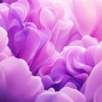 EUPHORIA: Erotic Journeys Toward Feminization and Submission